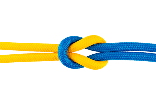 Blue and yellow synthetic rope tied in a knot, made of plastic or nylon strings, isolated on a transparent background