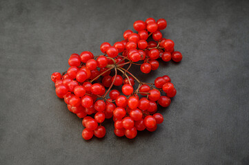 Red viburnum berries on a dark background.