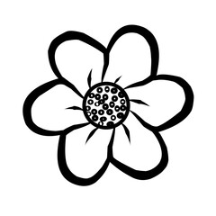 black and white flower