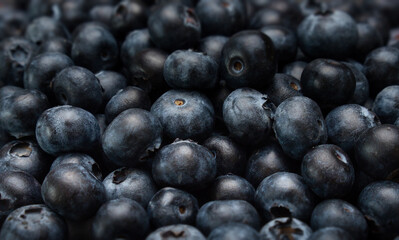 A background image with blueberries in a detailed view and different levels of focus