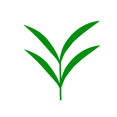 Flat design Illustration of green tea leaves. Illustration of green tea leaves for a healthy and nutritious drink. Illustration of herbal tea leaves 