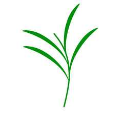 Flat design Illustration of green tea leaves. Illustration of green tea leaves for a healthy and nutritious drink. Illustration of herbal tea leaves 
