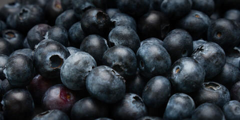 A background image with blueberries in a detailed view and different levels of focus