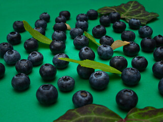 Individual blueberries on a green background are spaced apart in lines