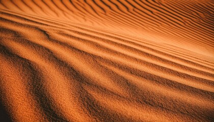 Fototapeta premium desert