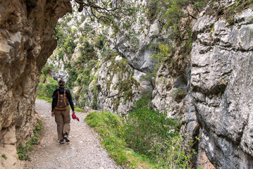 A female tourist hiking the picturesque Cares gorge in the Picos de Europa mountains, Asturias in Spain