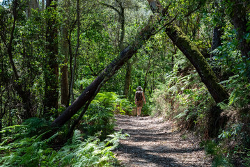 A woman hiking alone to the Rajada waterfall in Peneda Geres National Park in Portugal