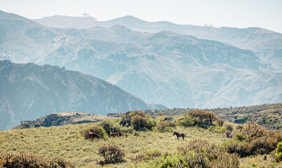 monutmens in peru