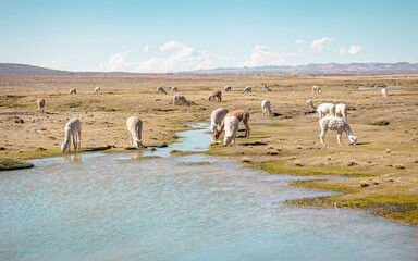 monutmens in peru