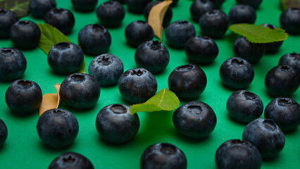 Individual blueberries on a green background are spaced apart in lines