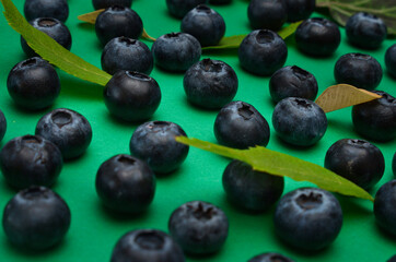 Individual blueberries on a green background are spaced apart in lines