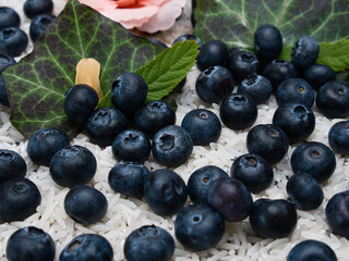 Blueberries Lying on Rice Grains with Green Leaves in the Background