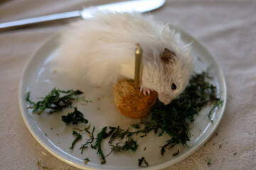 White teddy hamster eating cake with golden candles at the white plates with grass. Linen background 