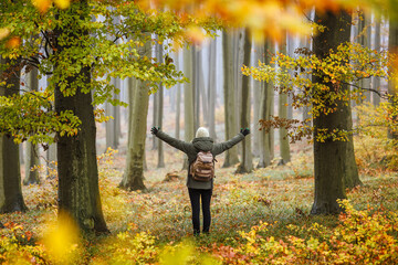 Woman feeling harmony with nature during hiking in autumn woodland. Forest therapy