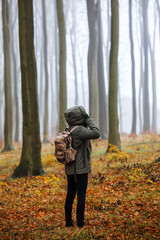 Hiking in autumn. Woman with backpack walks through misty beech forest. Tourist wearing jacket with hood in cold weather in fall season