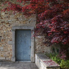 porte ancienne sur un mur en pierre avec arbre au feuillage rouge