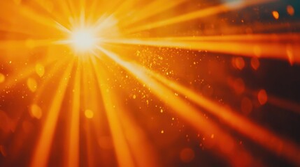 Radiant Sunbeam Macro Photography