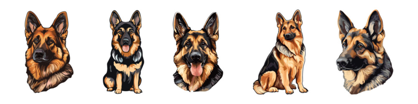 Vector German shepherd dog breed vector set illustration on white background. Cute German Shepherd in full-body, sitting, head, cartoon and realistic. Playful german shepherd breed in different poses.