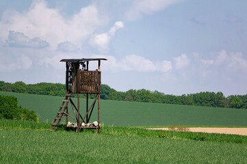 Deer stand for hunters on large green meadow in summer day