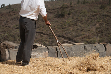 The farmer fanning wheat, separating the wheat from the chaff