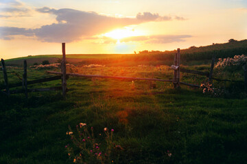 Fototapeta premium sunset in the field