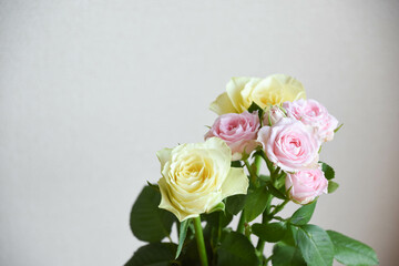 ピンクと黄色のばら