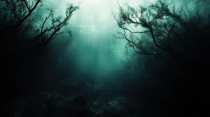 Fototapeta premium Mysterious underwater forest with sunlight filtering through seaweed