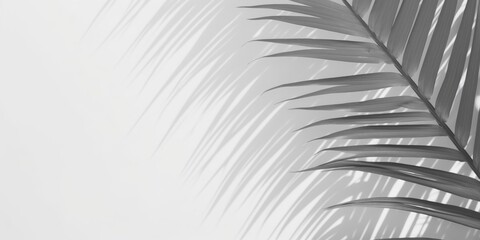 Elegant Monochrome Palm Leaf Against Soft Background, Showcasing Natural Texture and Graceful Lines for Modern Design and Aesthetic Appeal