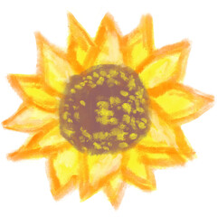 sunflower02