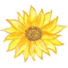 sunflower01