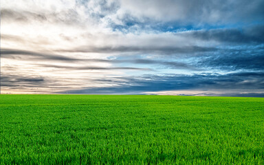 FELD HORIZONT #2810412