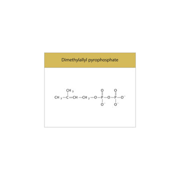 Dimethylallyl pyrophosphate