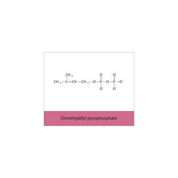 Dimethylallyl pyrophosphate