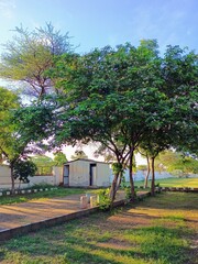 Obraz premium old house in the park