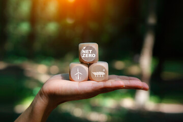 Net zero icon in wood on hand green Forest background. Net zero for environmental, social, Net zero...