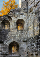 Obraz premium Ruins of an old castle and a fiery orange autumn tree