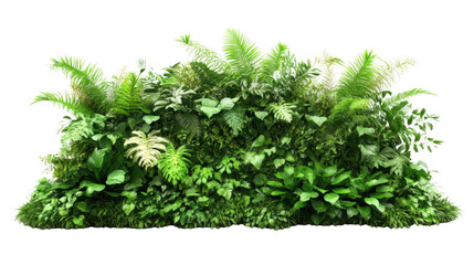 Fototapeta premium Lush Green Tropical Foliage Wall Nature Plants Background Greenery Texture