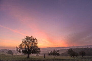 Sonnenaufgang an Bergkette mit Nebelfeldern und kahlen Bäumen