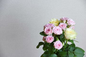 ピンクと黄色のばら