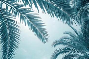 Tropische Palmwedel vor blauem Himmel – Sommerlicher Hintergrund für tropische Designs