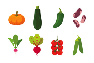 Vegetables set with 8 items; isolated flat illustrations in transparent background