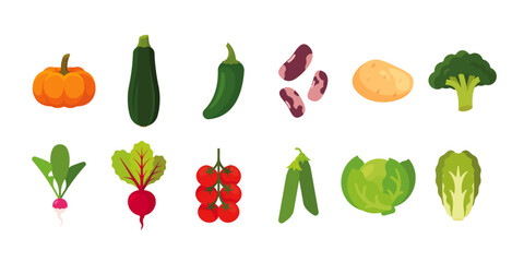 Vegetables set with 12 items; isolated flat illustrations in transparent background