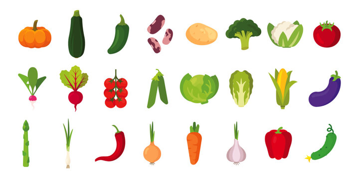 Vegetables big set with 24 items; isolated flat illustrations in transparent background