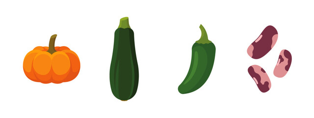 Vegetables set with Pumpkin, Zucchini, Green Jalapeno, Beans; isolated flat illustrations in transparent background