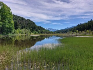 natura montagna