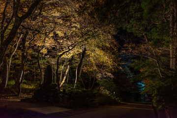 日本の鳥取県の大山の美しい秋の夜の風景