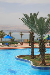 piscina exterior orilla del mar muerto jordania con palmeras 4M0A1760-as24