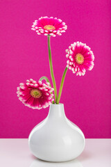Three gerber blossoms in a vase with pink background