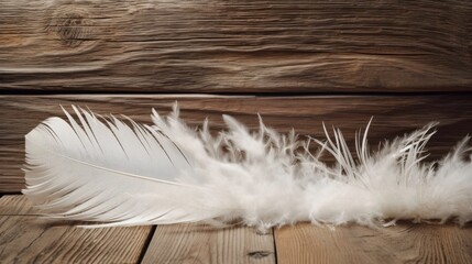 White Feather on Wooden Surface