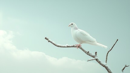 Serene White Bird Perched on a Bare Branch Against a Soft Blue Sky Creating a Peaceful and Tranquil Atmosphere in Nature